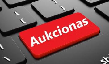 0001_aukcionas_1638254529-111269c6d75e88a8cdfd46e6ada897ae.jpg